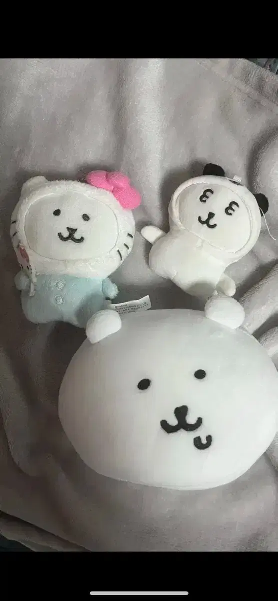 농담곰 인형 판매